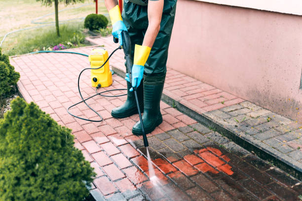 Best Solar Panel Cleaning  in Beverly, NJ
